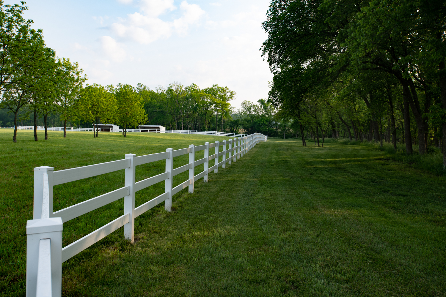 Greenway along fenceline at Hidden Timber Farm horse pasture boarding